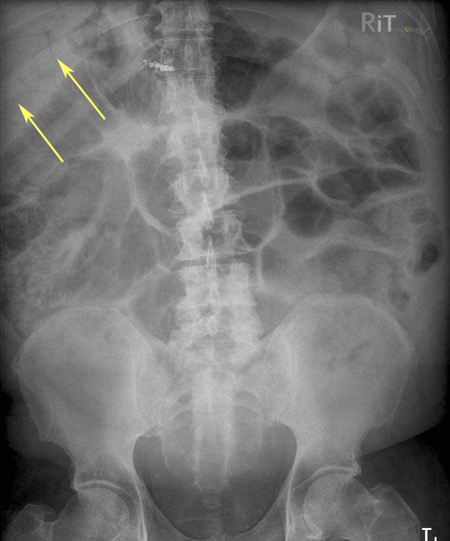 RiT Radiology December 2010 rit-radiology-december-2010
