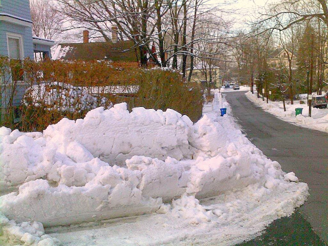 Chesley St and Everett St