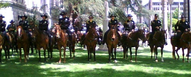 [Police+horses+cropped.jpg]