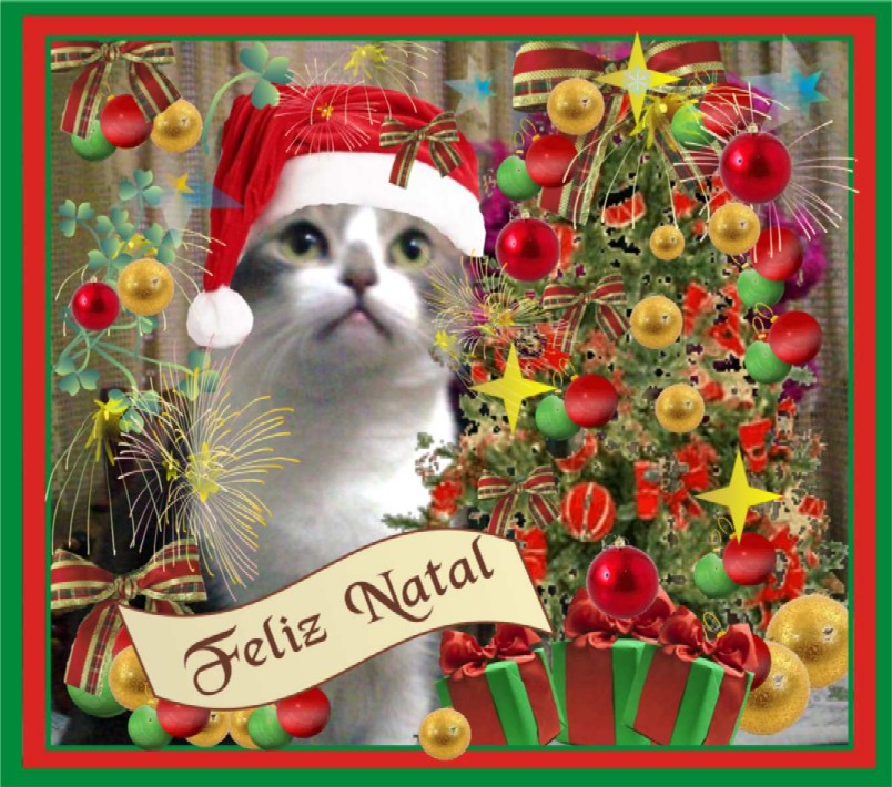 [mina+natal+com+faixa.jpgreduxpblog.jpg]