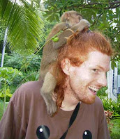 monkey on head