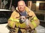 Perro valeroso rescata a cuatro gatitos de incendio