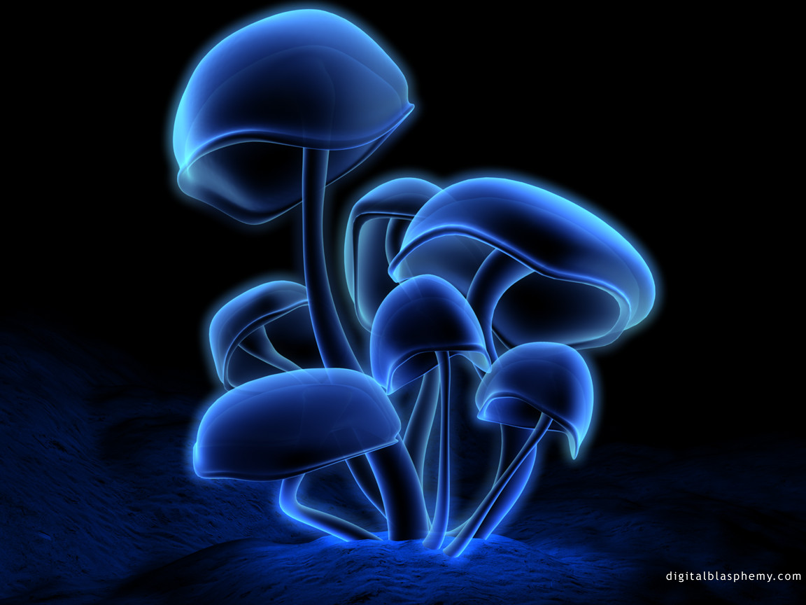 Cogumelo 3D  Ilha dos Papeis