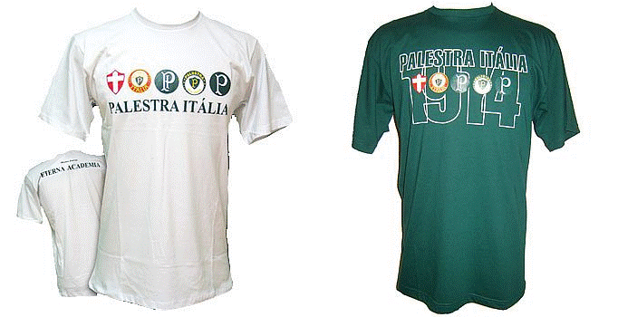 [camiseta+palestra.gif]