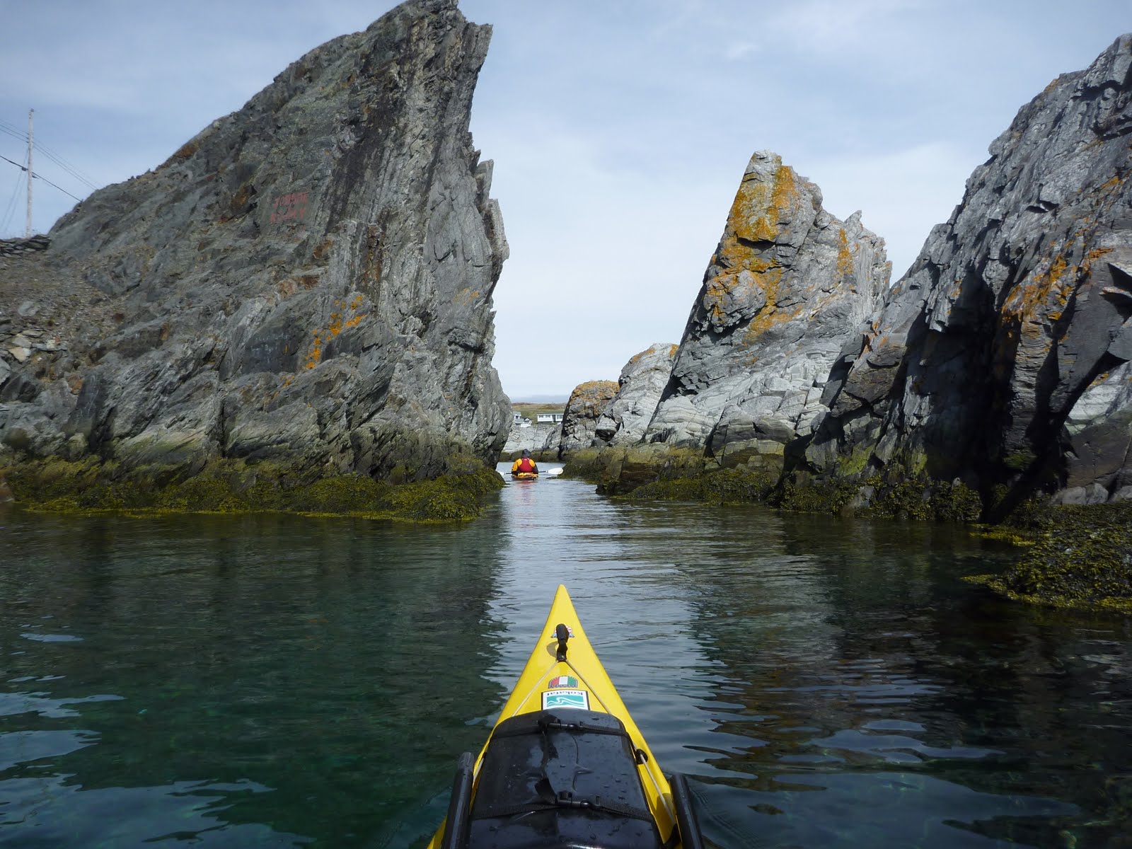 Newfoundland Sea Kayaking: Clarkes Beach to Hibb's Cove
