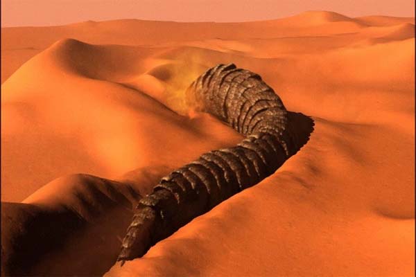 Черви в пустыне. Гигантский червь олгой-хорхой. Песчаные черви дюны.