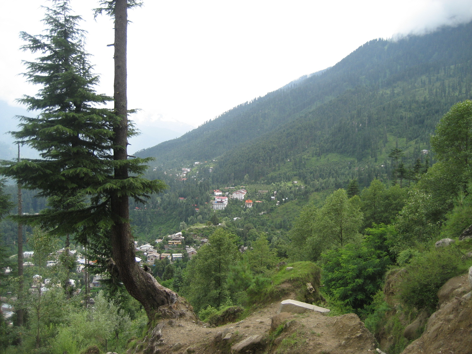 [IMG_0076.JPG]