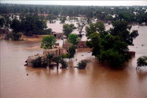 Apa dampak lingkungan akibat bencana banjir