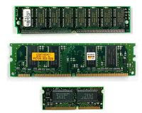 ram