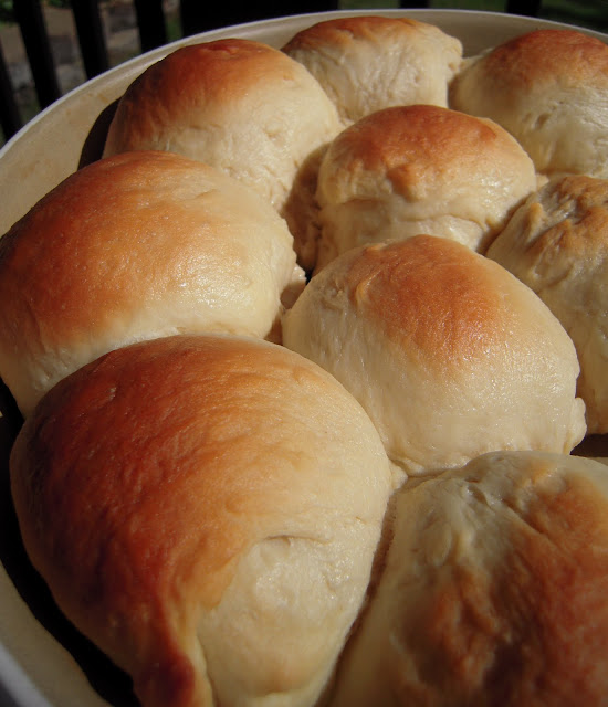 Honey Yeast Rolls Plain Chicken®