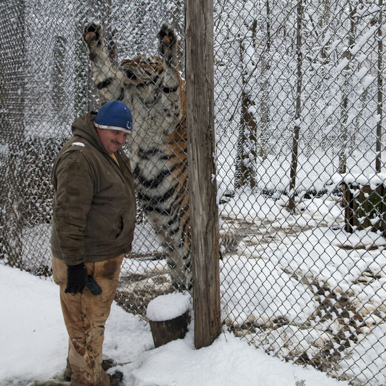 urban wilderness a visit to the exotic feline rescue center in indiana