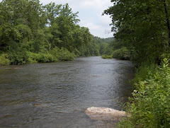 Two Lick Creek