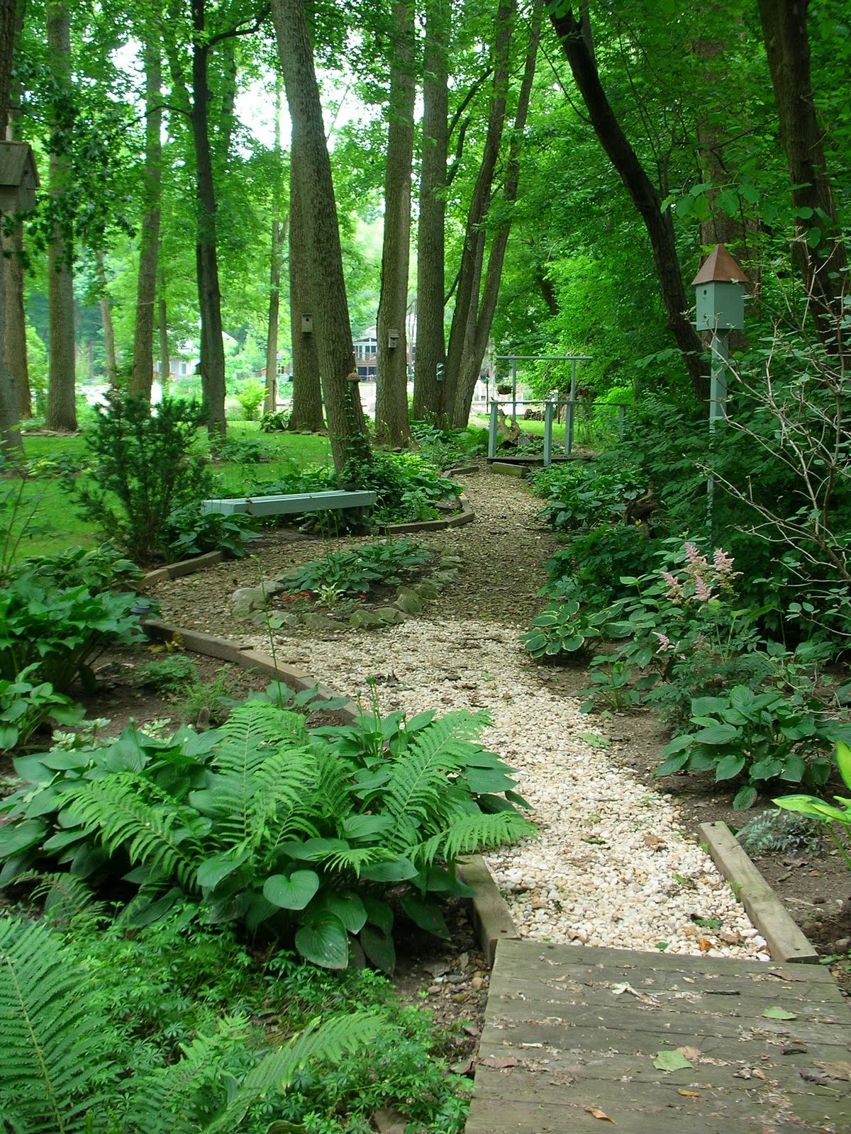 Designing the Woodland Garden Designing the Woodland Garden on Wooded Backyard Ideas id=33360