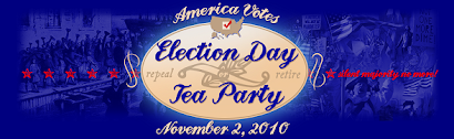 Providing Support to Election Day Tea Party