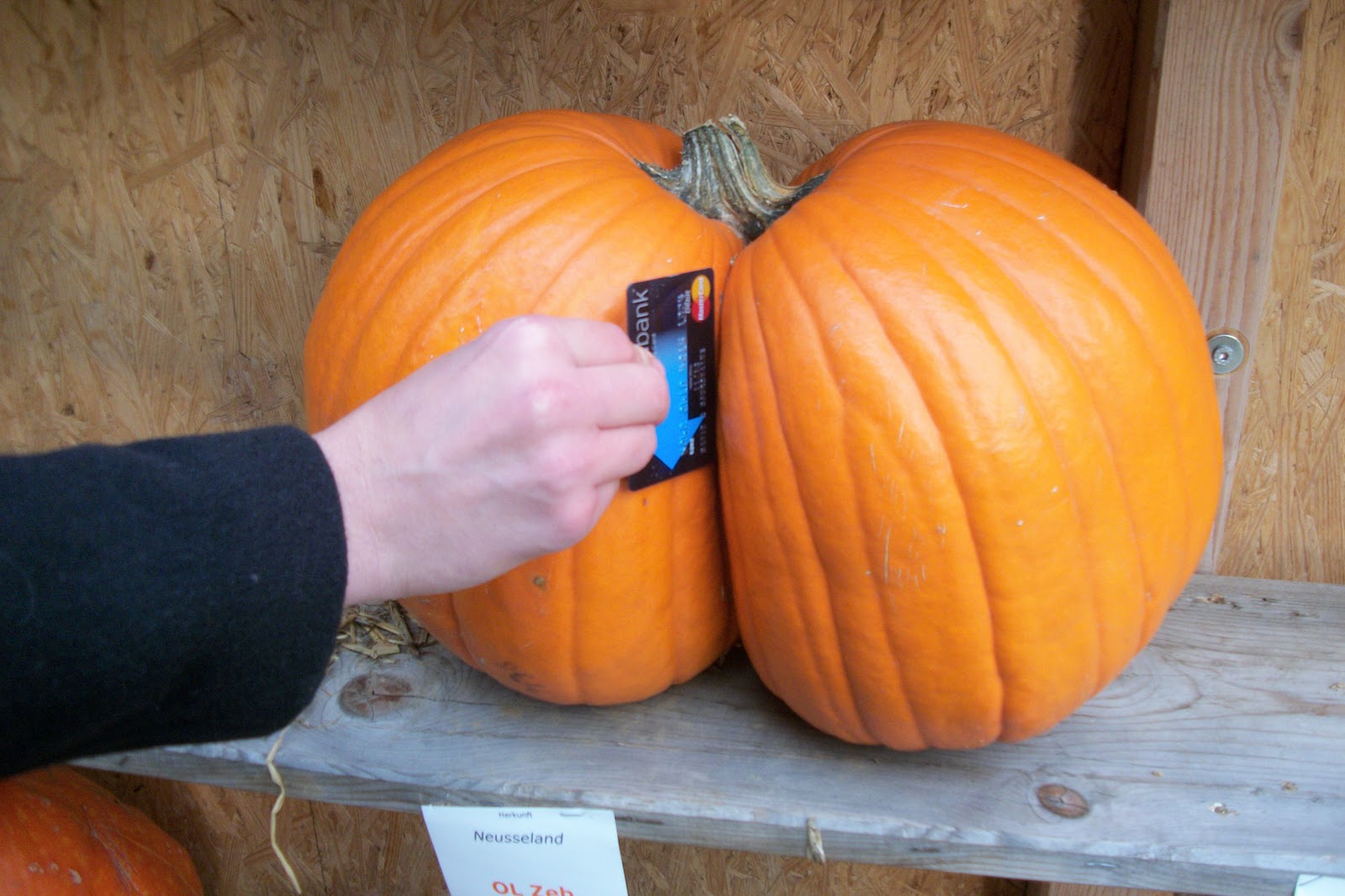 Pumpkin Butt Picture 36