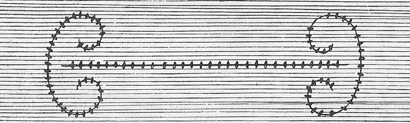 Frutos del Mar: LA MORUNA