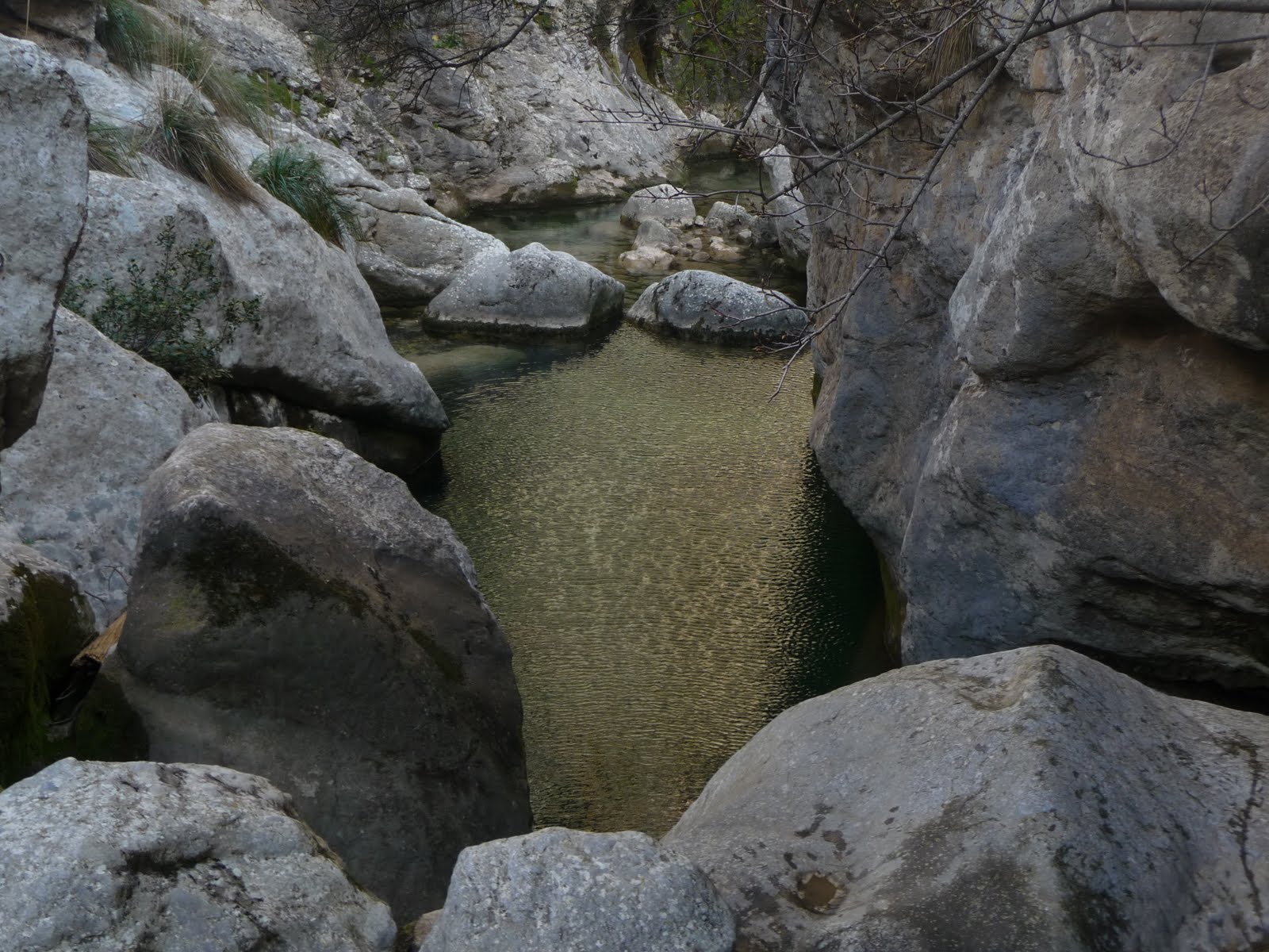 AMICS DE TRAMUNTANA SA FOSCA