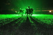 绿梦园。寸草心