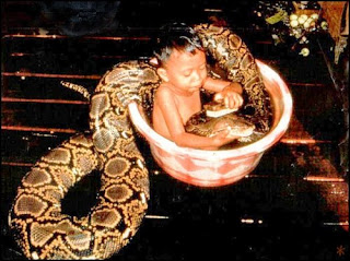 child-with-snake-thailand1.jpg