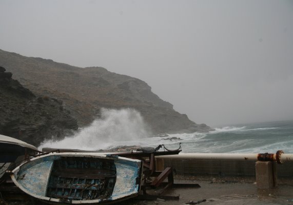 [IMG_0280_1.JPG]