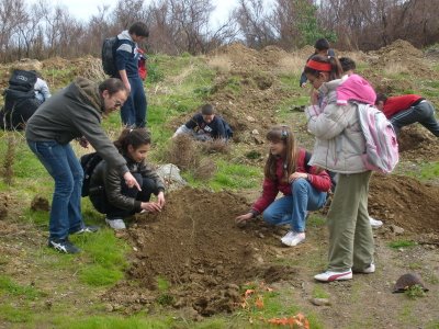 [ΔΕΝΔΡΟΦΥΤΕΥΣΗ+008_1.jpg]