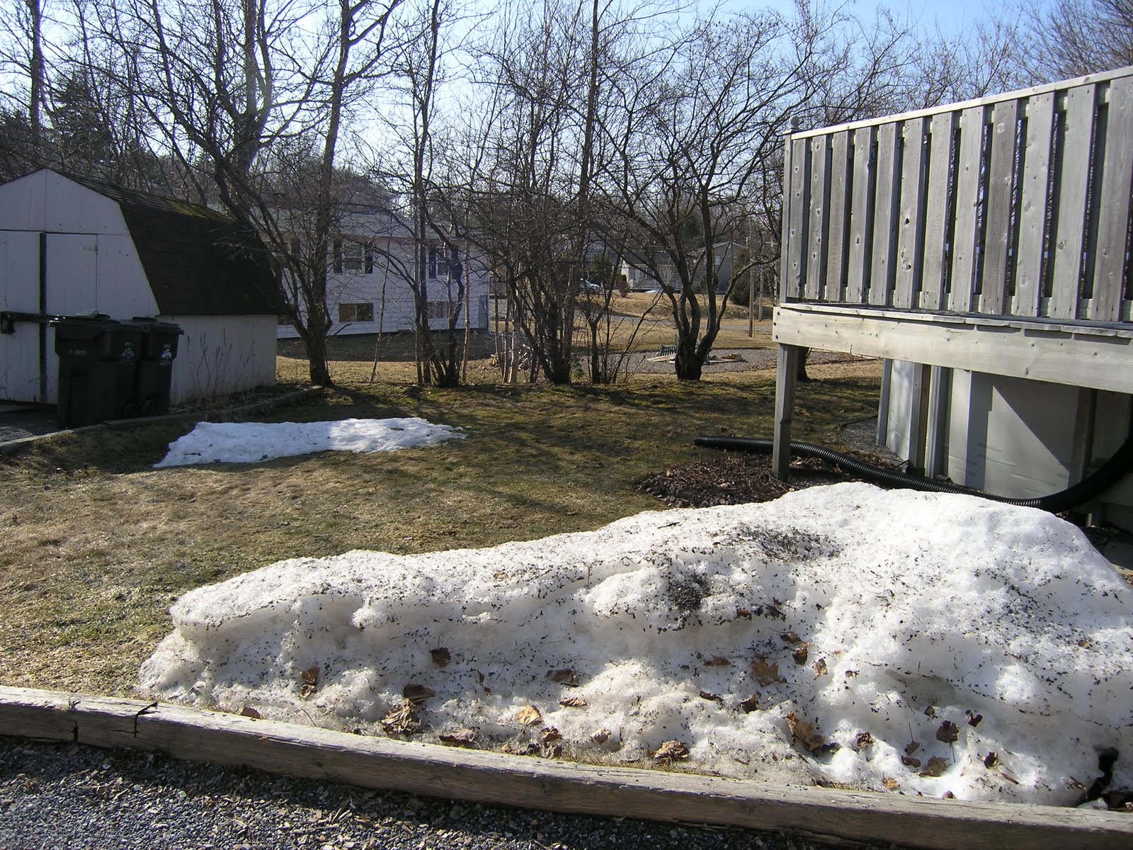 [P3200002.JPG]