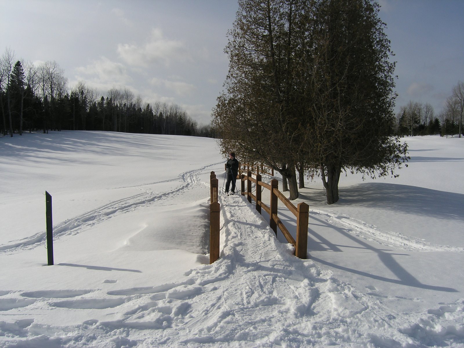 [P2070166.JPG]