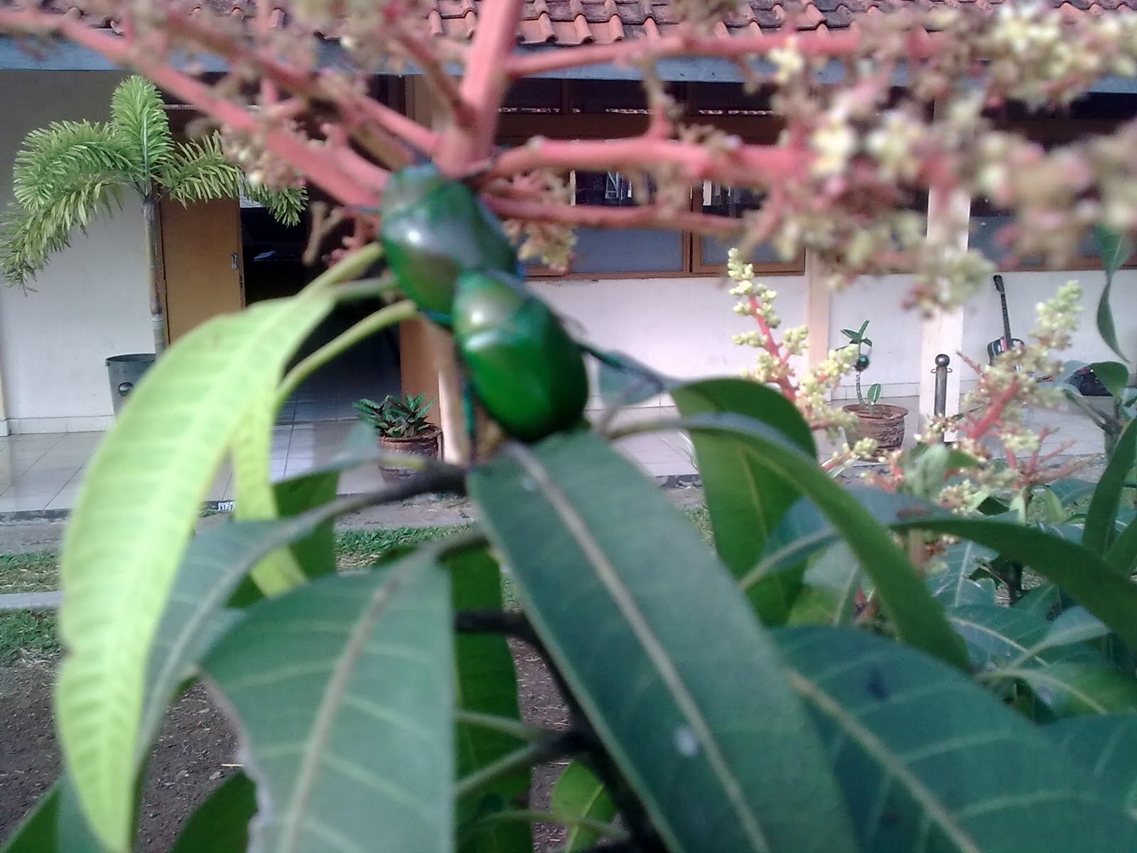 science Komponen Ekosistem dan Pola Interaksi dalam Ekosistem