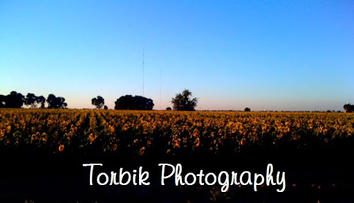 Torbik Photography