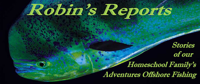 Robin's Reports