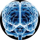 [2009121653_n+91.jpg]