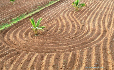 Design on a farm land.