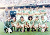 Capeones de Copa 1977
