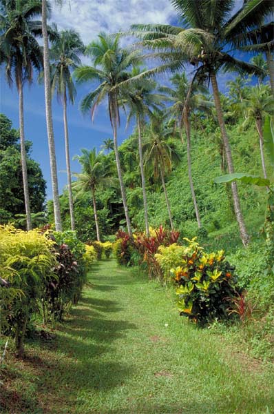 VELOCITY PERFORMANCE TRAINING: 65 Of My Favorite Workout Motivational