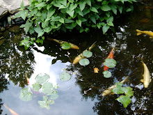 My Koi Pond