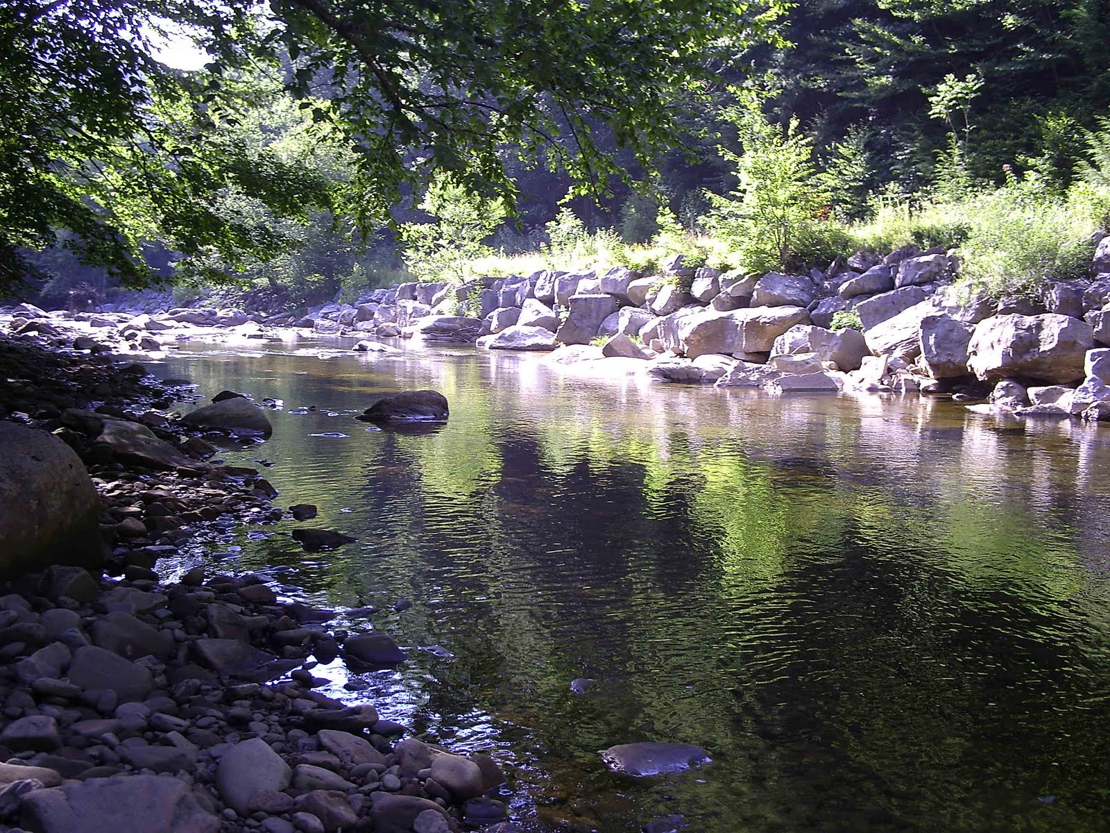 Adventure Fishing CranBerry River Again