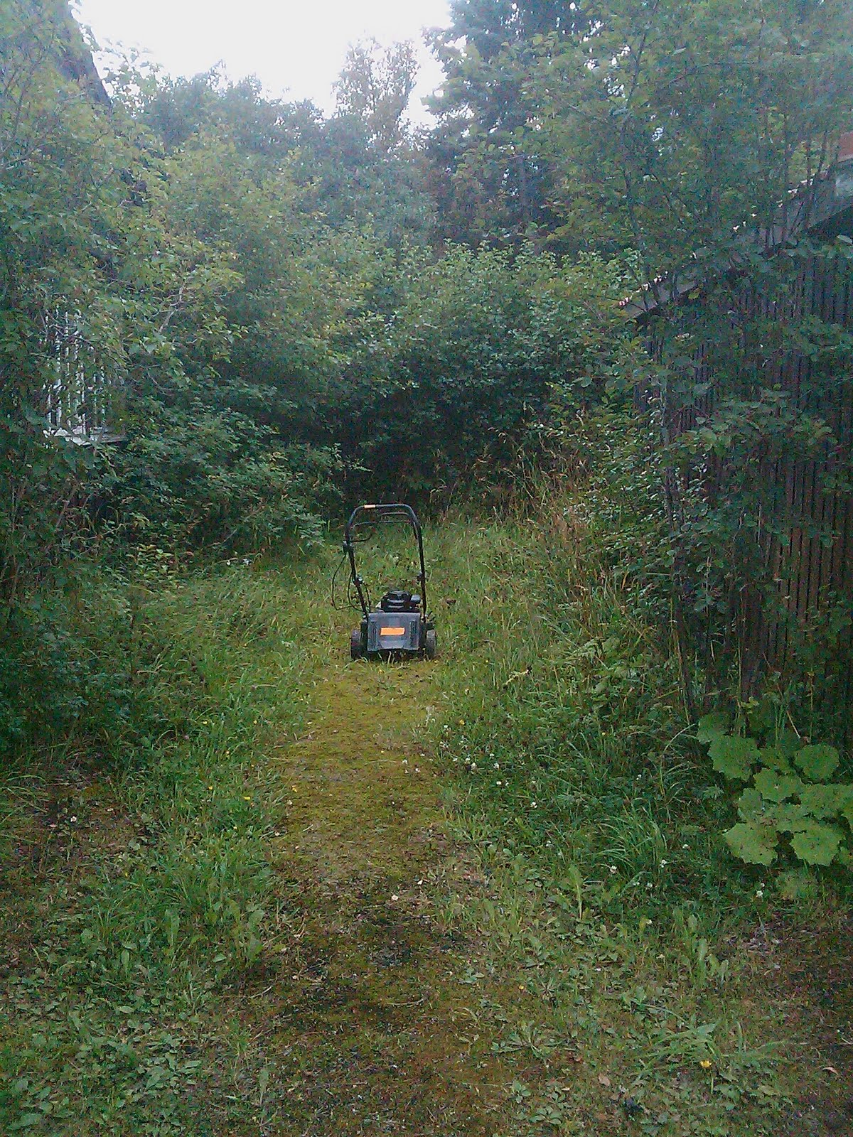 Casa Vatten Alsnes: Fancy lawn mowers..