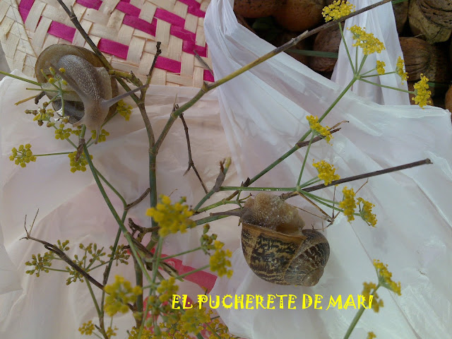  EL PUCHERETE APAGA LOS FOGONES POR UN TIEMPO ¡Espero que corto! 