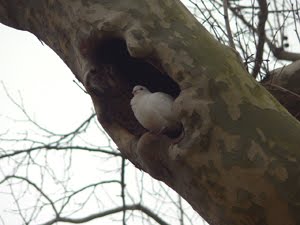 [blog+visita+caldas.jpg]