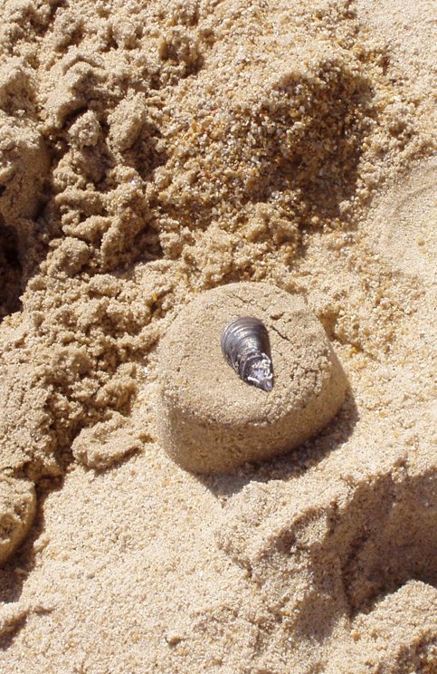 [instantaneos+praia7.jpg]