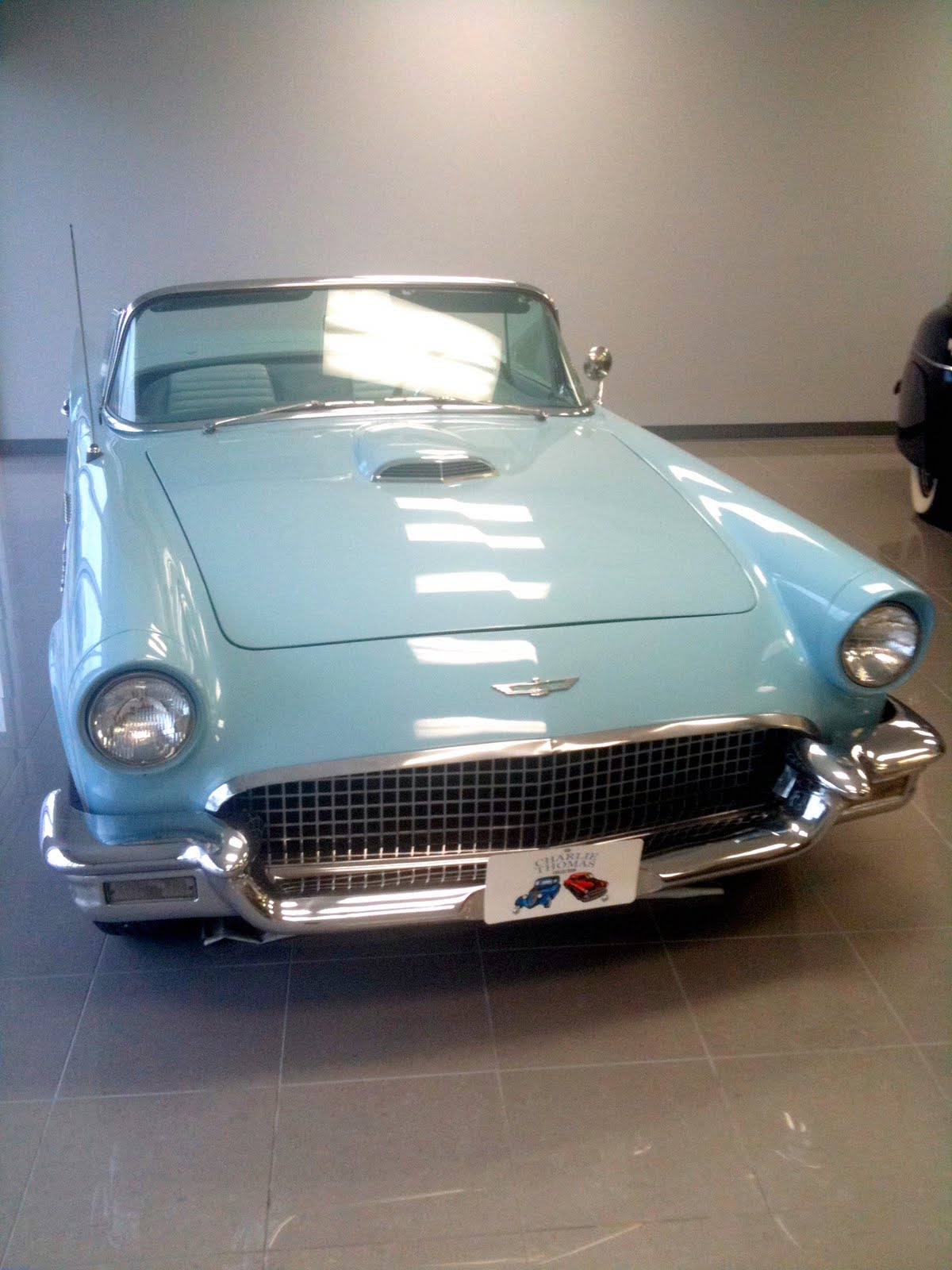 [Thunderbird.jpg]