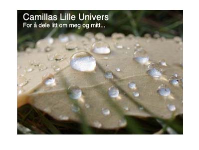 Camillas lille univers