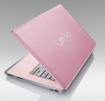 Pink Laptop: VAIO CR Lizard Series