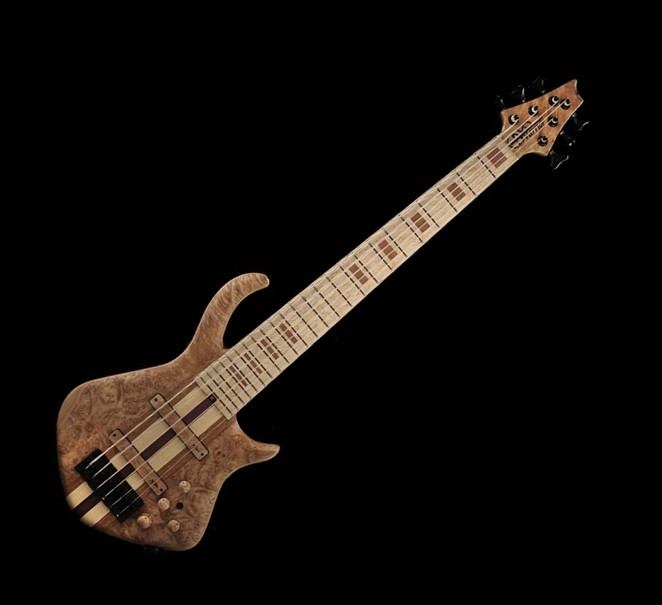 Warrior Bass JDran 6 String Bass