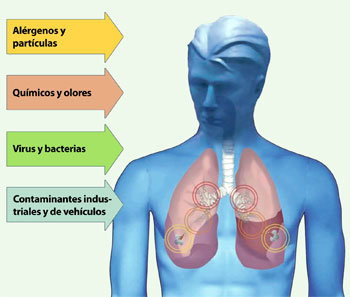 external image contaminacion.jpg external image contaminacion.jpg