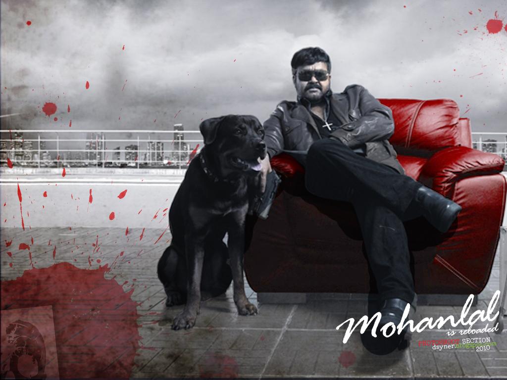 Dsyner Blog: July 2010