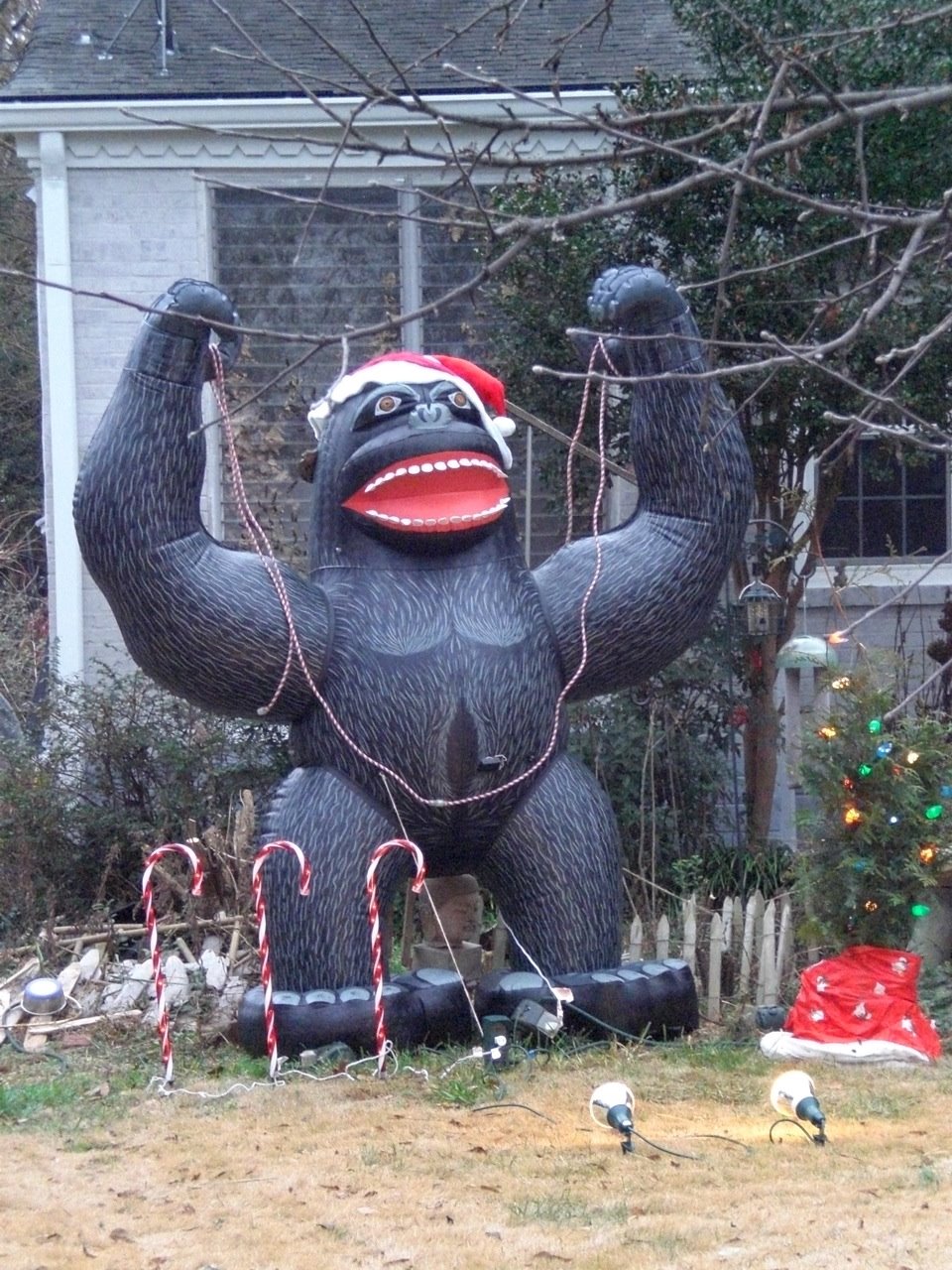 [2008+Christmas+Santa+Kong.jpg]