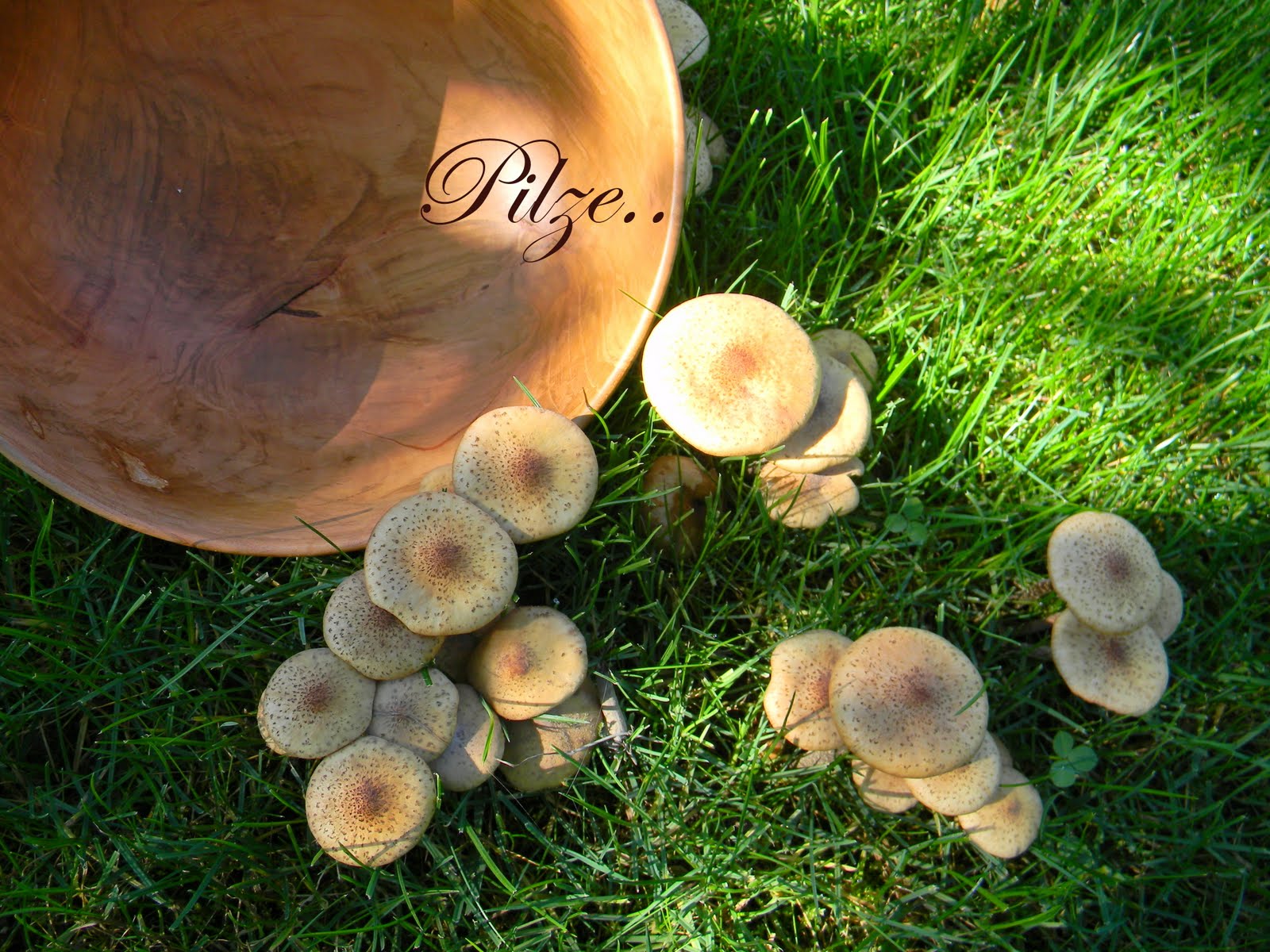 Geschenkideen Fur 1 2 Jahrige Kinder Nicht Nur Zu Weihnachten