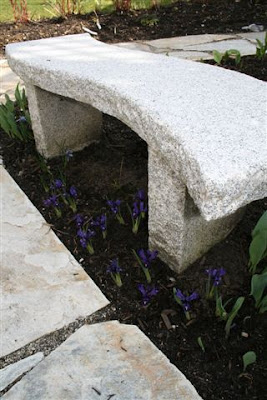 Mini irises and granite garden bench