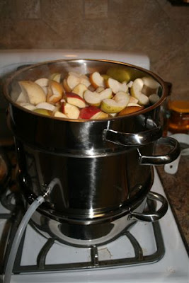 Apples and Pears in the Nutristeamer Juicer